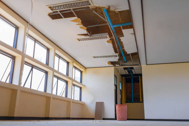 Best Carpet water damage restoration  in Oregon, IL