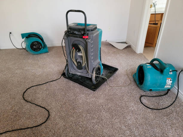 Best 24/7 water damage repair  in Oregon, IL