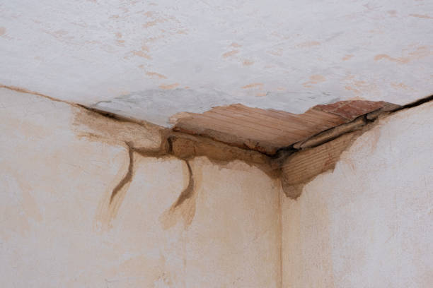 Best Mold removal after water damage  in Oregon, IL