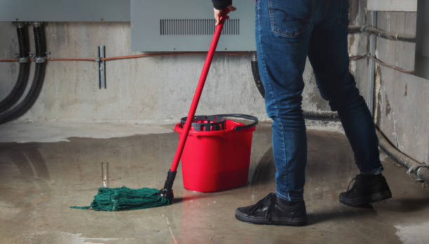 Best Professional water damage repair  in Oregon, IL