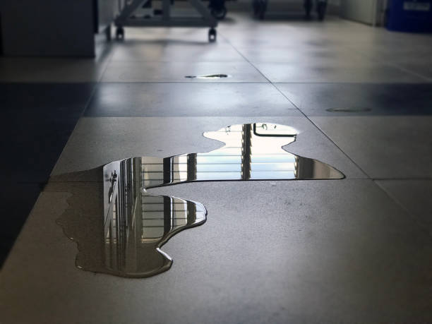 Best Commercial water damage restoration  in Oregon, IL