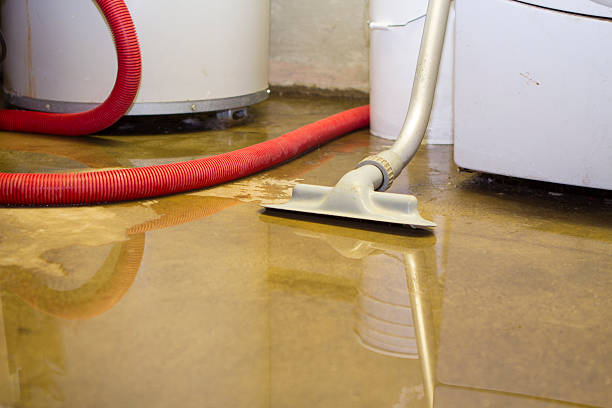 Best Fire Damage Restoration  in Oregon, IL