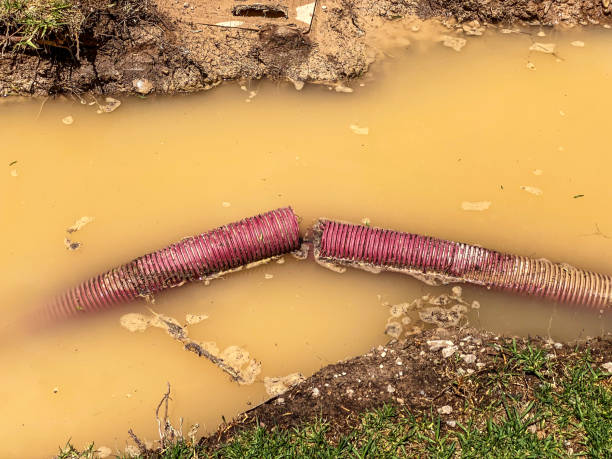 Best Basement water damage restoration  in Oregon, IL