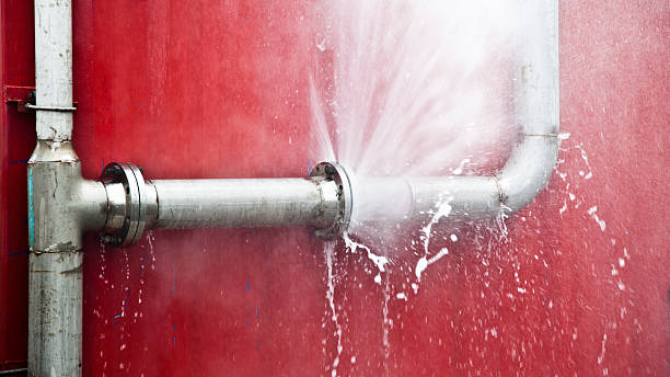 Best Flood damage cleanup  in Oregon, IL